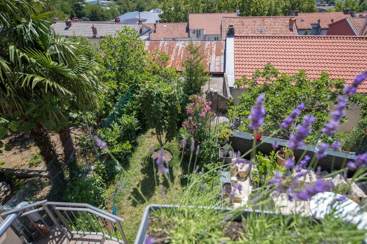 Apartment Zorica Crikvenica Eksteriør bilde